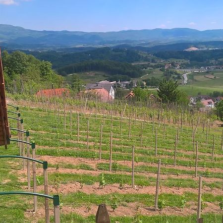 Vineyard Cottage Lustek Novo Mesto Kültér fotó