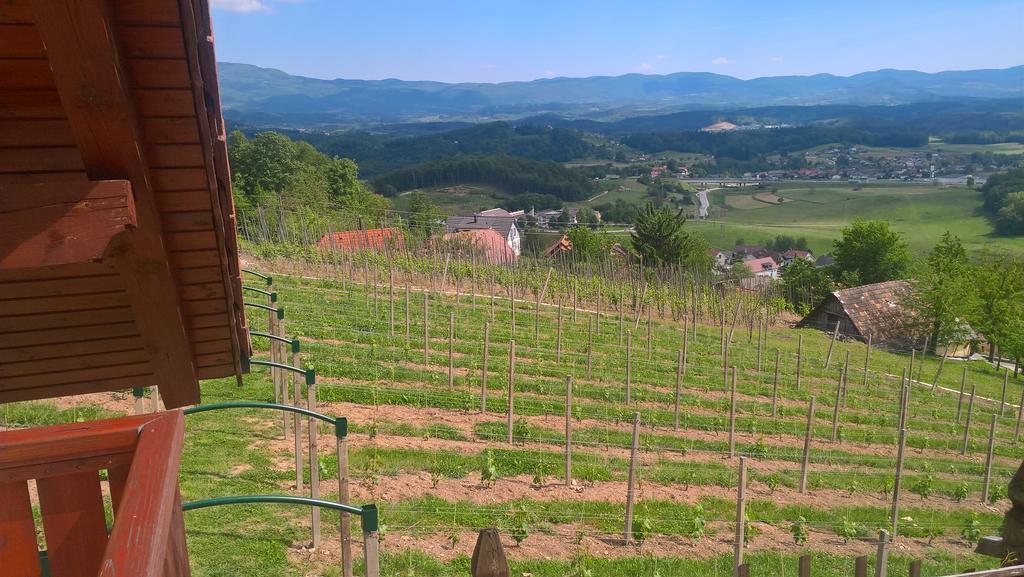 Vineyard Cottage Lustek Novo Mesto Kültér fotó